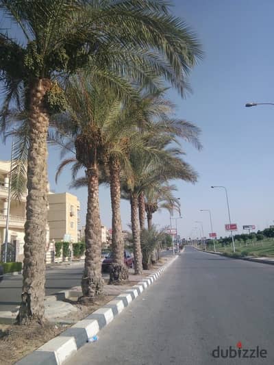 Receive now and pay in installments 180m second number Al-Hizam Al-Akhdar Hayy Al-Filat