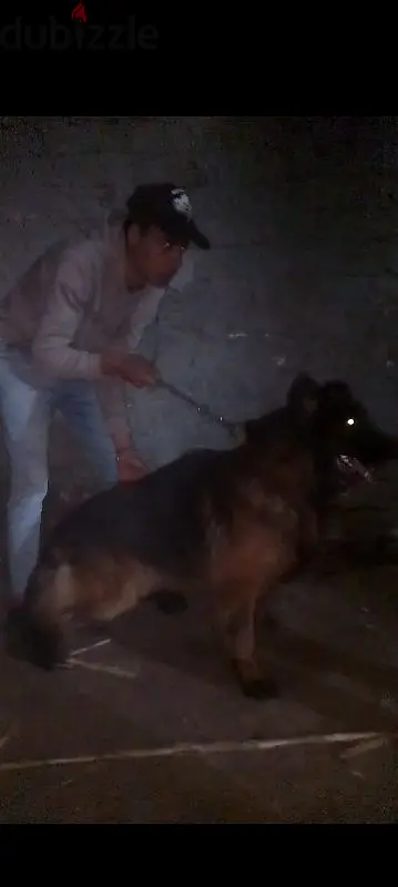 جيرمن65609112146050123