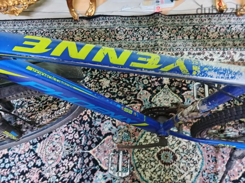Phoenix Bicycle65604286504067120