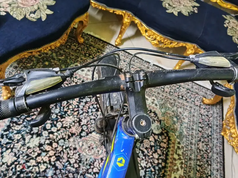 Phoenix Bicycle65604286504067121