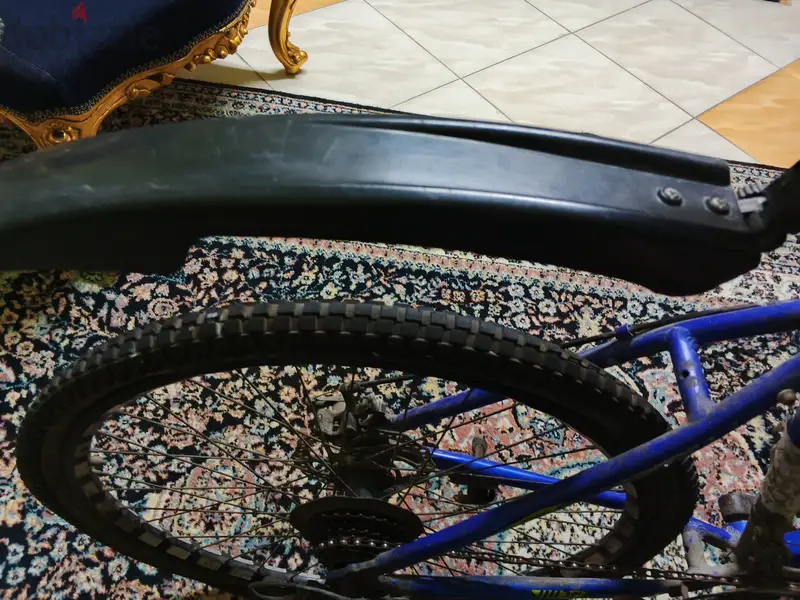Phoenix Bicycle65604286504067122