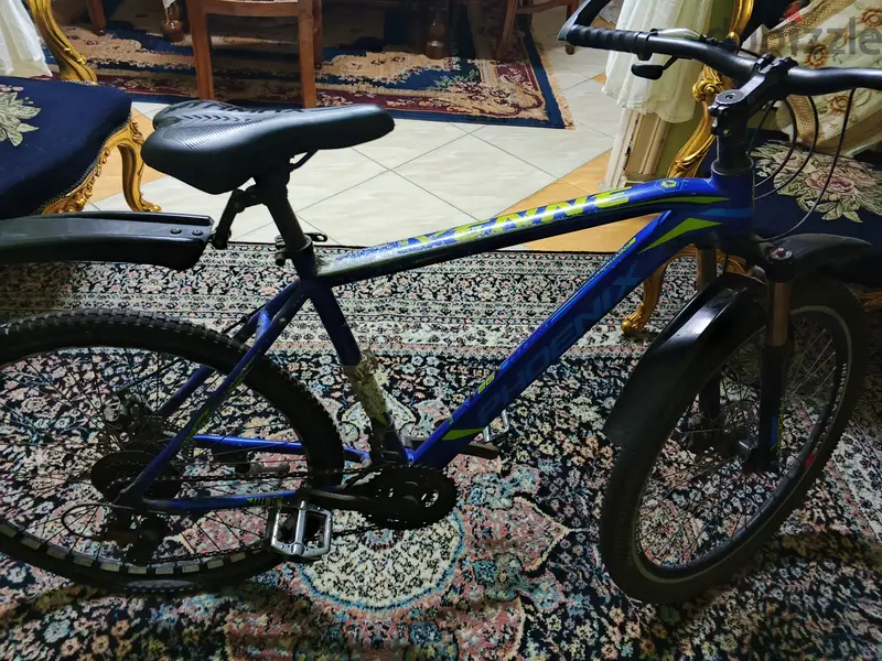 Phoenix Bicycle65604286504067123