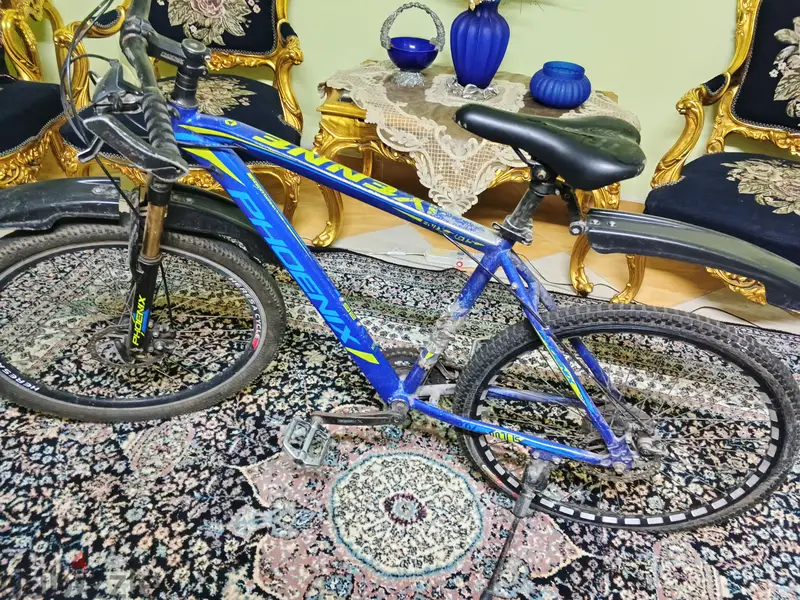 Phoenix Bicycle65604286504067125
