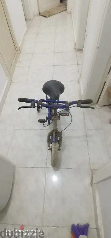 Scooter and Wheel65614174995073121