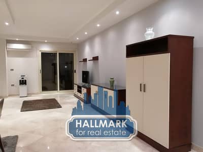 Sarayat Al Maadi Modern Fully Finished With ACs