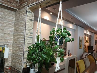 macrame plant pot holder