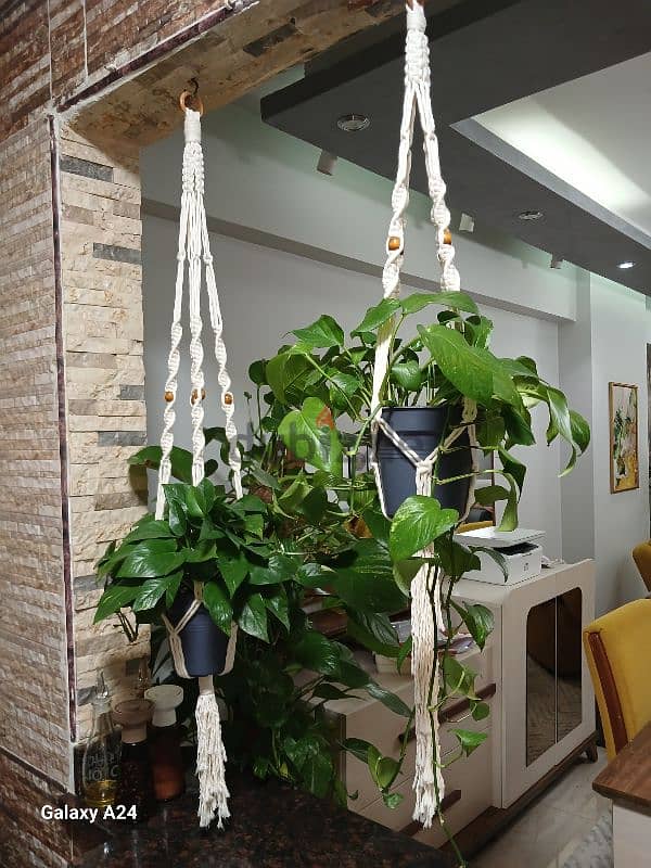 macrame plant pot holder 2