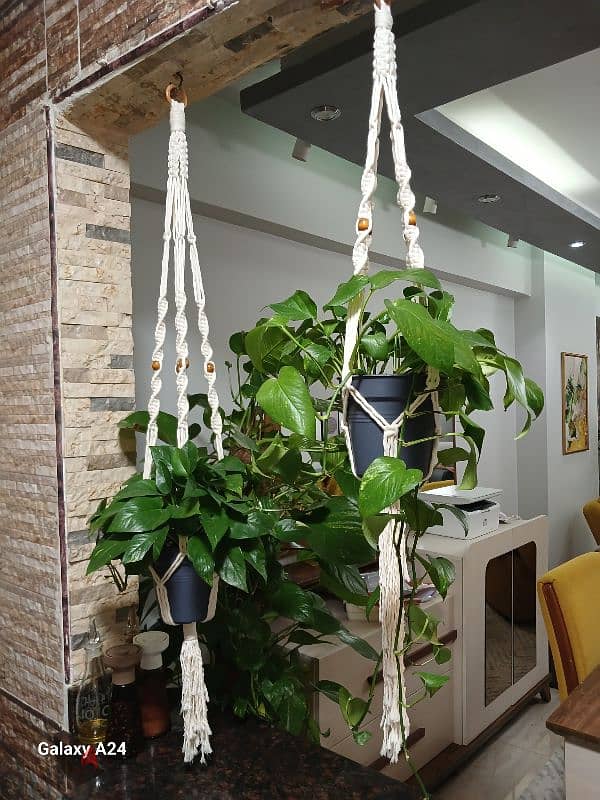 macrame plant pot holder 3
