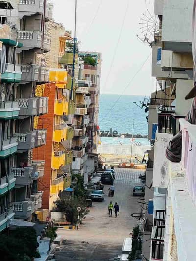 شقه فى اسكندرية شاطئ النخيل بجوار البحر دقائق للأسواق والمطاعم تصلح للسكن والاستثمار الجيد