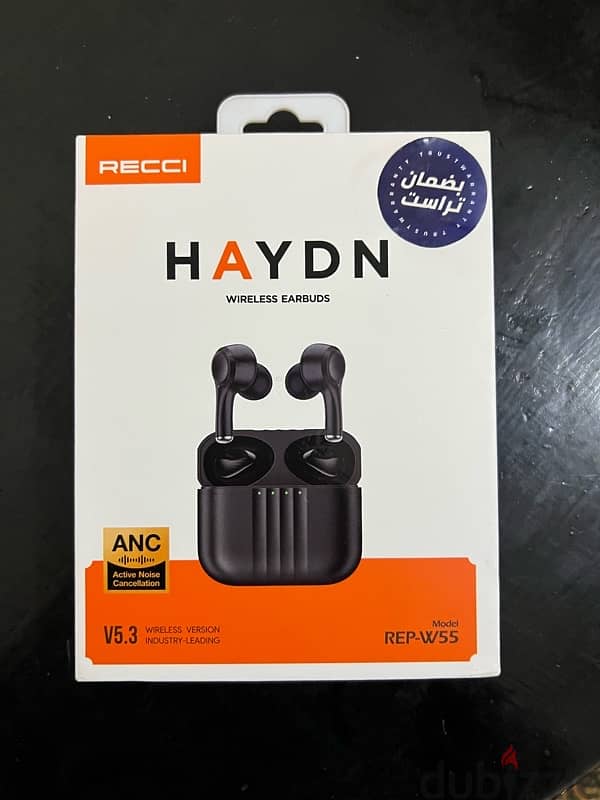 RECCI ANC HAYDN Wireless Earbuds 4