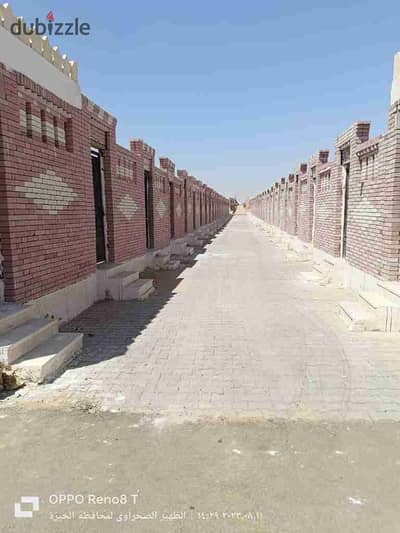 مدفن للبيع في مقابر طريق الفيوم نقل ملكيه في إدارة الجبانات