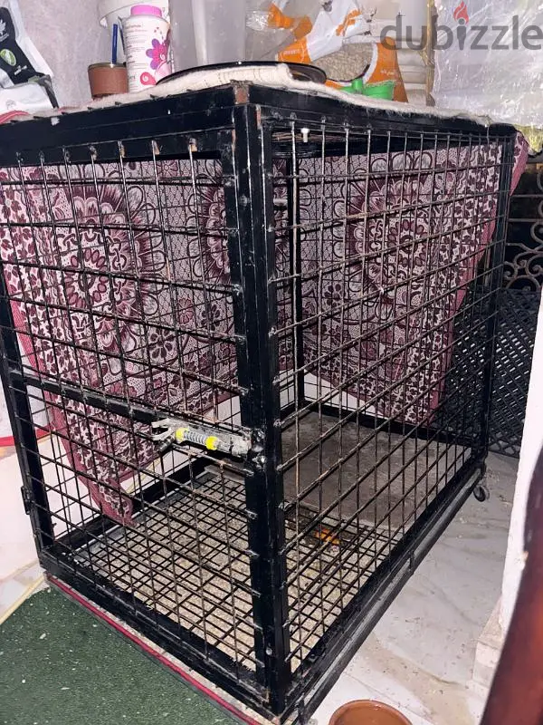 Dog Box65614160707203121