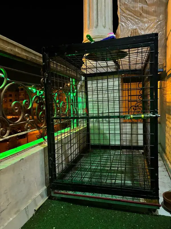 Dog Box65614160707203122