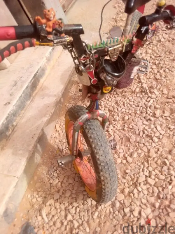 اسكندريه الرأس السود