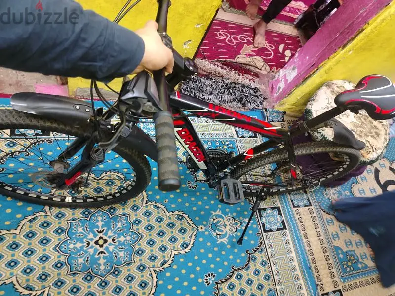 Multi-speed Bicycle (Wheel)65616911702659121