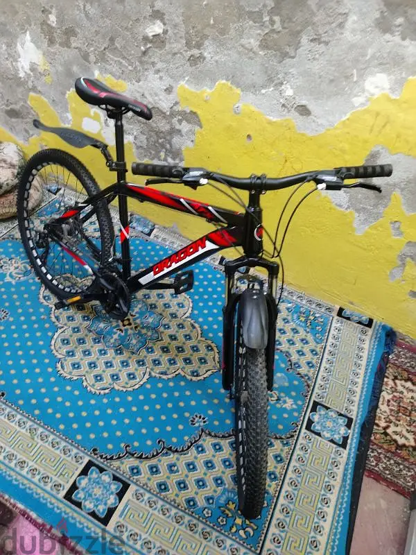 Multi-speed Bicycle (Wheel)65616911702659122