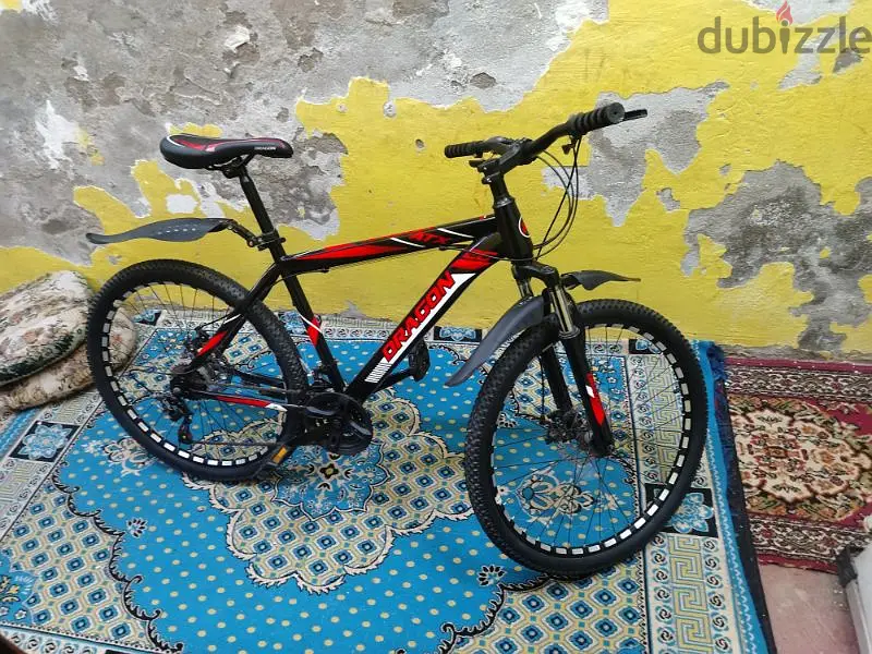 Multi-speed Bicycle (Wheel)65616911702659124