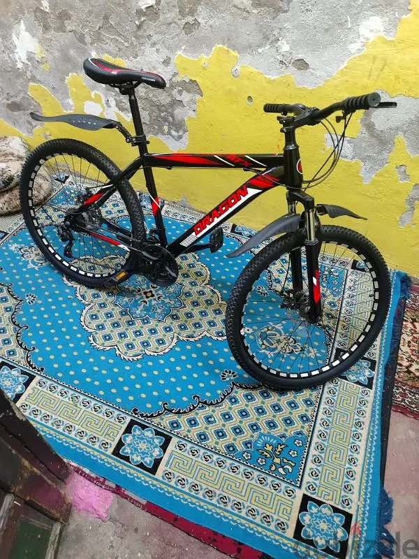 Multi-speed Bicycle (Wheel)65616911702659125