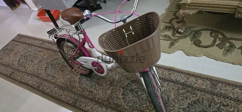 New Girls' Bicycle, Size 20