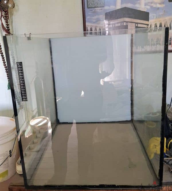 حوض سمك 3