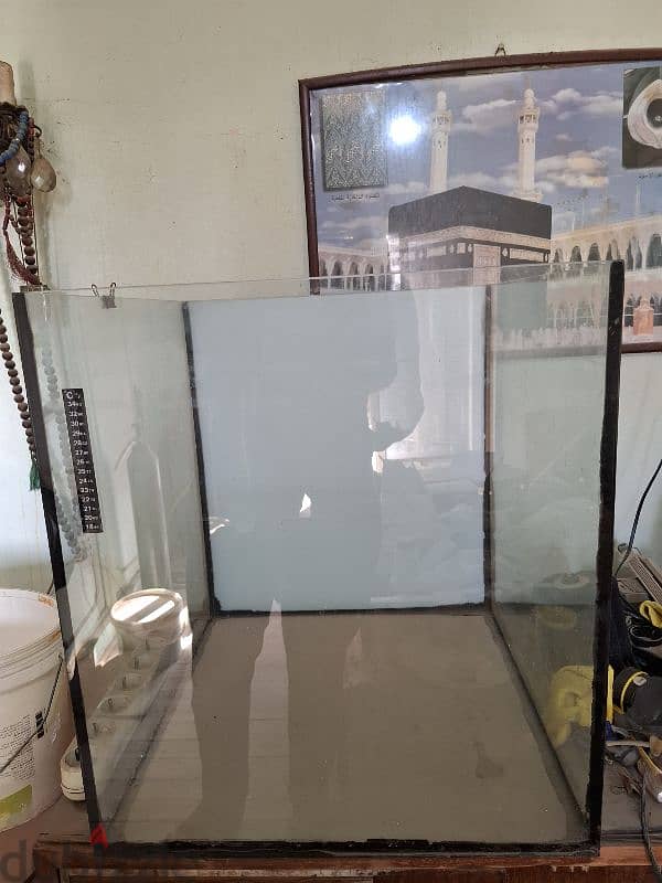 حوض سمك 4