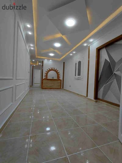 شقه فى اسكندرية شاطئ النخيل واجهة بحرى شرقى في قلب الخدمات والأسواق موقع سكنى ومصيفى متميز