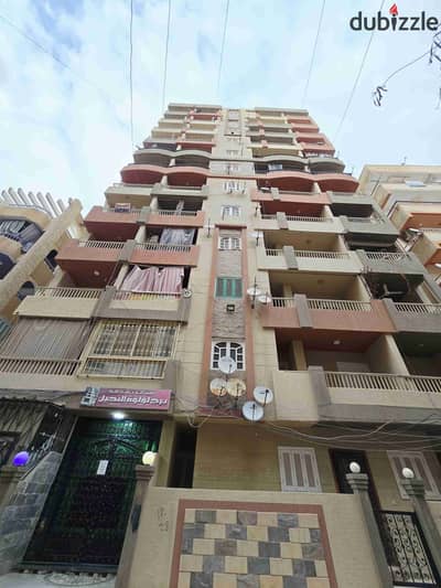 شقه فى اسكندرية شاطئ النخيل دقائق للبحر والأسواق (٣غرف) تصلح للسكن والاستثمار الجيد مسجلة كاملة المرافق