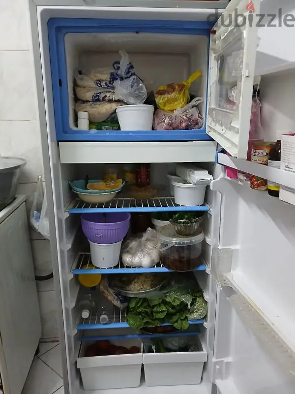 تلاجة65616917805186121