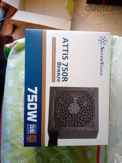 SilverStone Power Supply