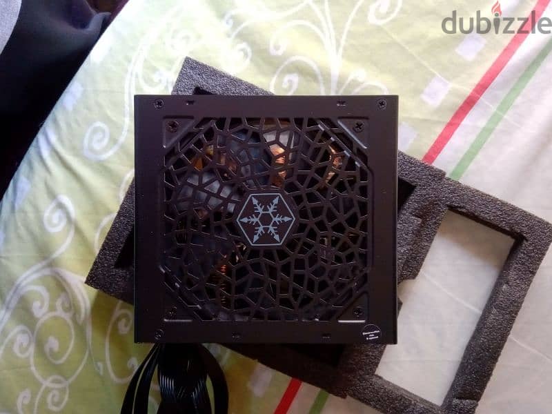 SilverStone Power Supply 2