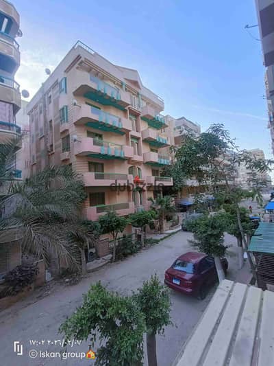 شقه فى اسكندرية شاطئ النخيل بجوار البحر والخدمات مسجلة كاملة المرافق تصلح للسكن والاستثمار الجيد