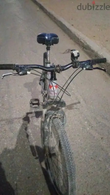 Bicycle65619870646659120