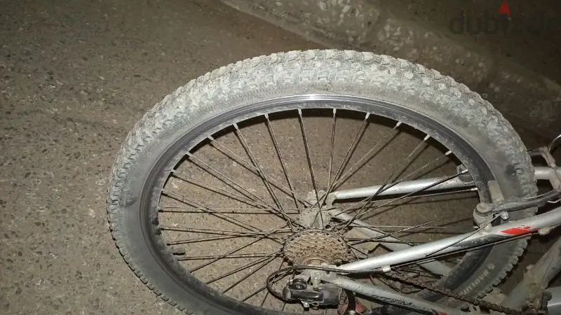 Bicycle65619870646659123