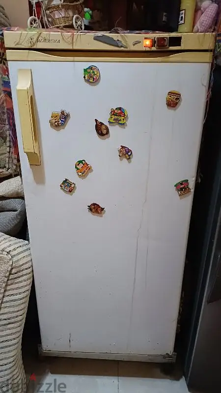 Alaska Deep Freezer