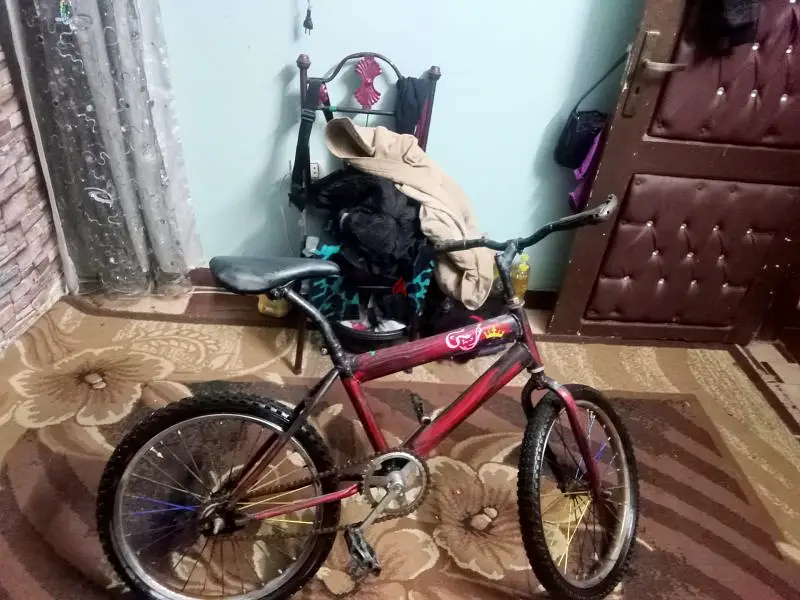 مسطرد القاهره القليوبيه65619869700355121