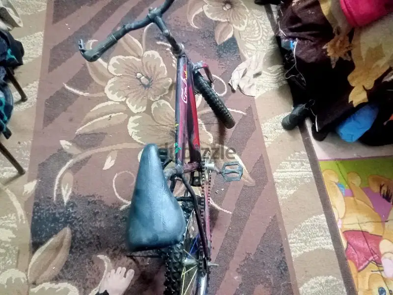 مسطرد القاهره القليوبيه65619869700355122