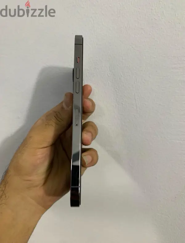 ايفون 12 برو ماكس65619866256385124
