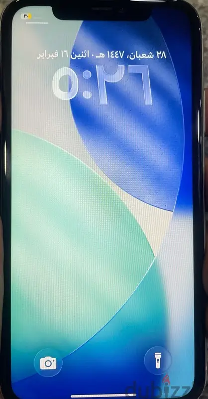 iphone 11 256G