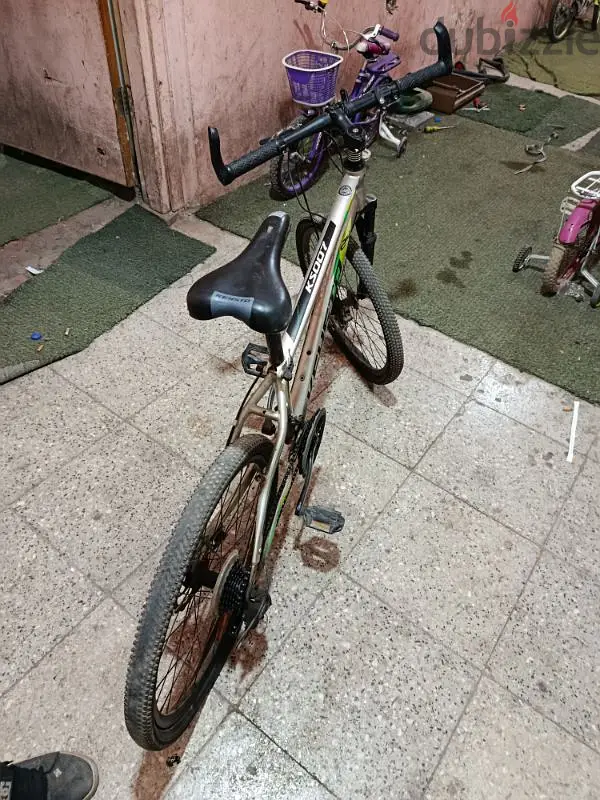 24-inch Wheel65619887833475121