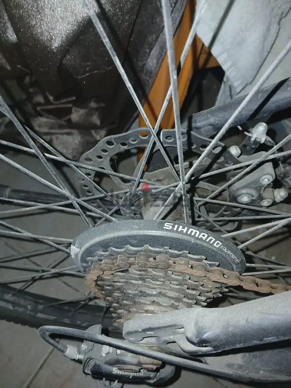 Zoom Wheel 2765619870225665122