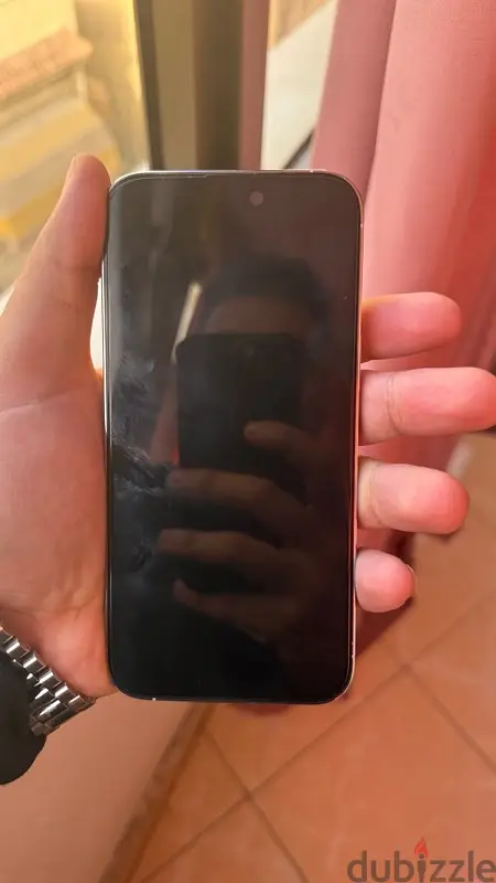 iphone 14 pro max65619909427329123