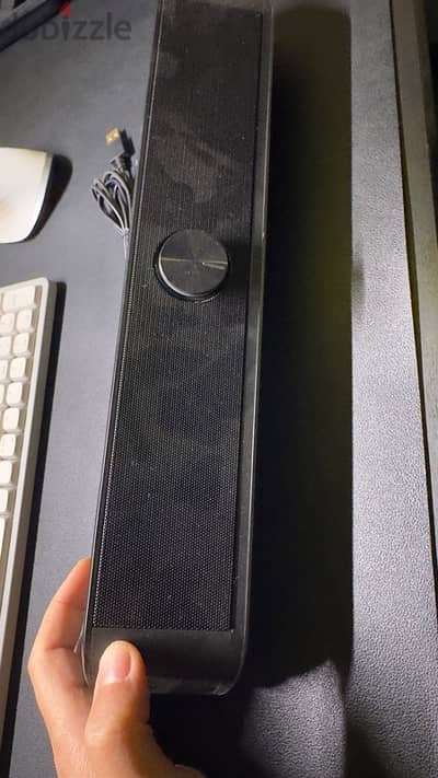 Computer Speakers