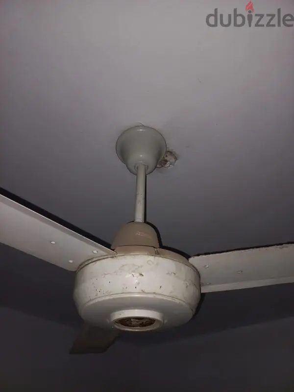 Two Original Japanese Fans