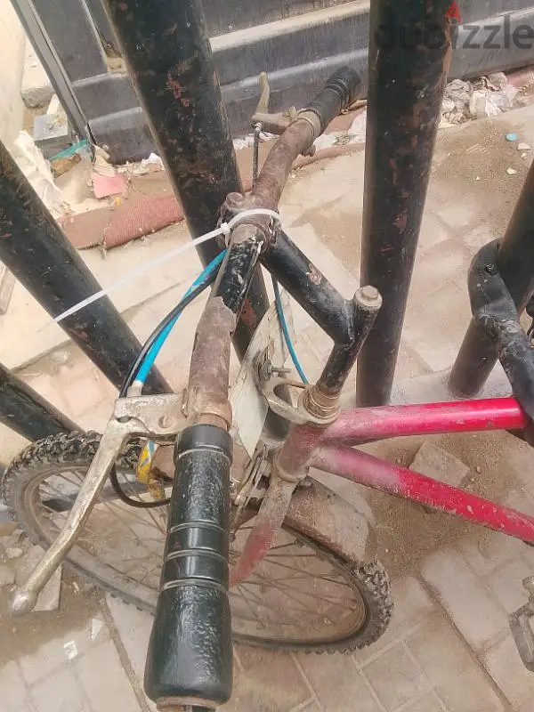 المنيل القاهره65619887589890121