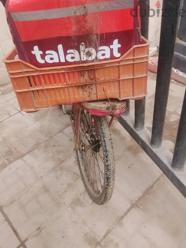 المنيل القاهره65619887589890123