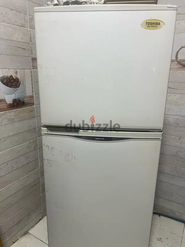 الشيخ زايد65619882985986125