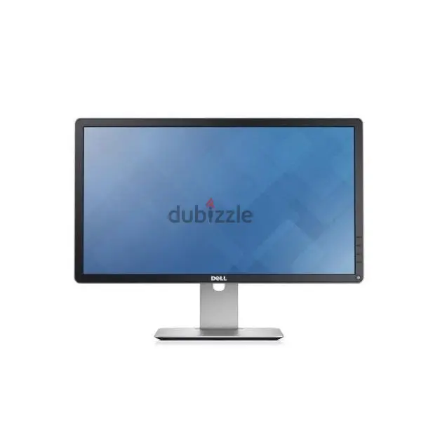 Dell 22-inch Monitor