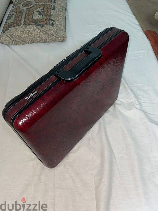 Delsey bag 2