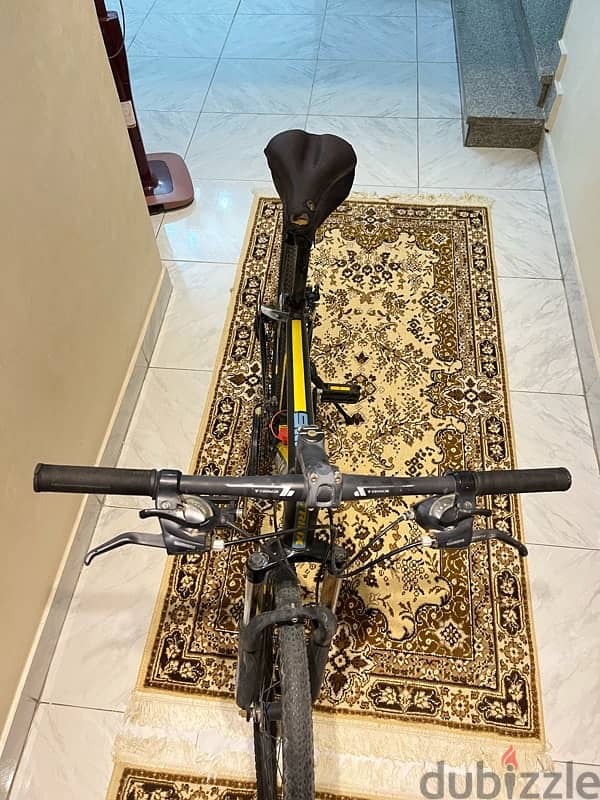 Trinx m116 for sale 4
