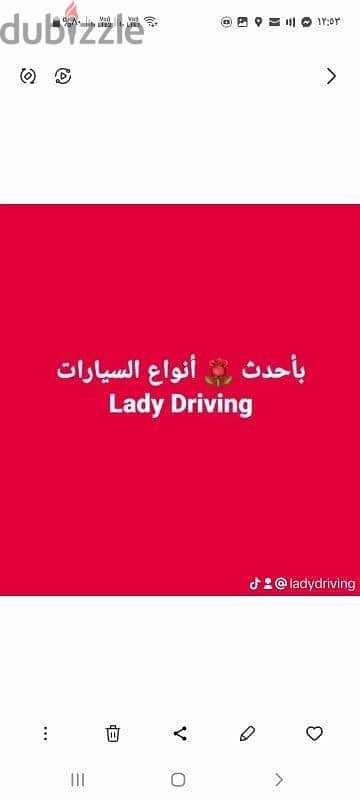 Lady Driving for All 6